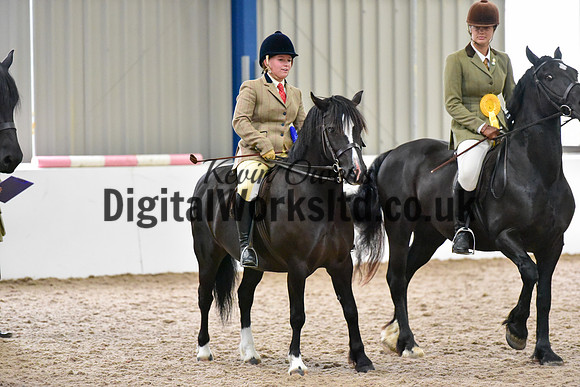 NECWPCA-SUMMER-WELSH-SILVER-MEDAL-SHOW (106 of 315)