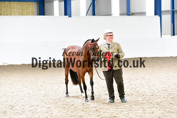 NECWPCA-SUMMER-WELSH-SILVER-MEDAL-SHOW (10 of 61)