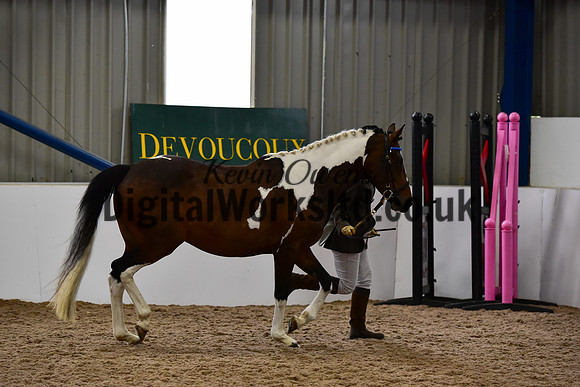 NECWPCA-SUMMER-WELSH-SILVER-MEDAL-SHOW (18 of 150)