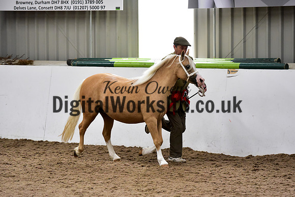 NECWPCA-SUMMER-WELSH-SILVER-MEDAL-SHOW (22 of 46)