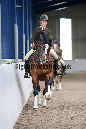 NECWPCA-SUMMER-WELSH-SILVER-MEDAL-SHOW (186 of 325)