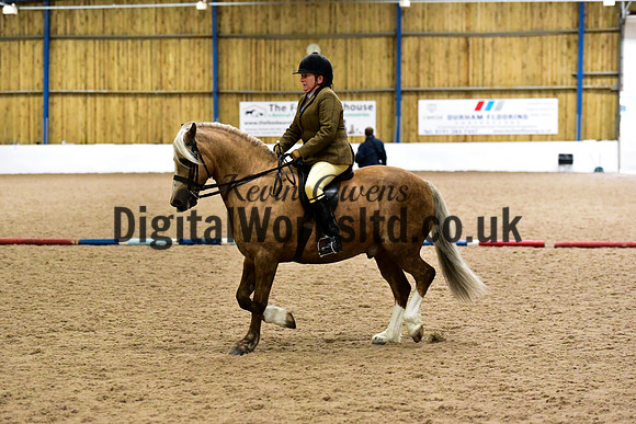 NECWPCA-SUMMER-WELSH-SILVER-MEDAL-SHOW (148 of 325)