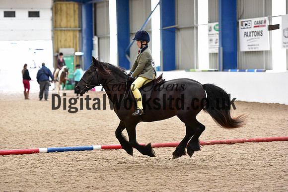 NECWPCA-SUMMER-WELSH-SILVER-MEDAL-SHOW (69 of 419)