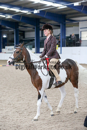 NECWPCA-SUMMER-WELSH-SILVER-MEDAL-SHOW (81 of 419)