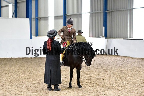 NECWPCA-SUMMER-WELSH-SILVER-MEDAL-SHOW (155 of 315)