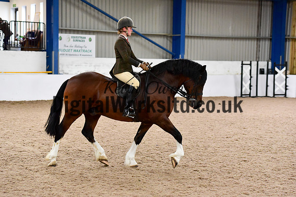 NECWPCA-SUMMER-WELSH-SILVER-MEDAL-SHOW (7 of 100)