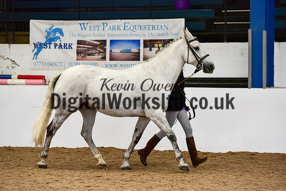 NECWPCA-SUMMER-WELSH-SILVER-MEDAL-SHOW (12 of 150)