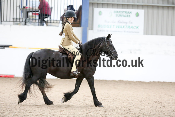 NECWPCA-SUMMER-WELSH-SILVER-MEDAL-SHOW (14 of 120)