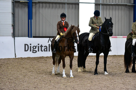 NECWPCA-SUMMER-WELSH-SILVER-MEDAL-SHOW (234 of 315)
