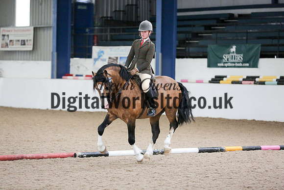 NECWPCA-SUMMER-WELSH-SILVER-MEDAL-SHOW (300 of 315)