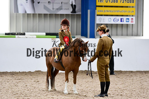 NECWPCA-SUMMER-WELSH-SILVER-MEDAL-SHOW (81 of 92)