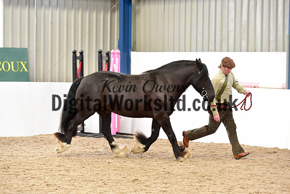 NECWPCA-SUMMER-WELSH-SILVER-MEDAL-SHOW (3 of 82)