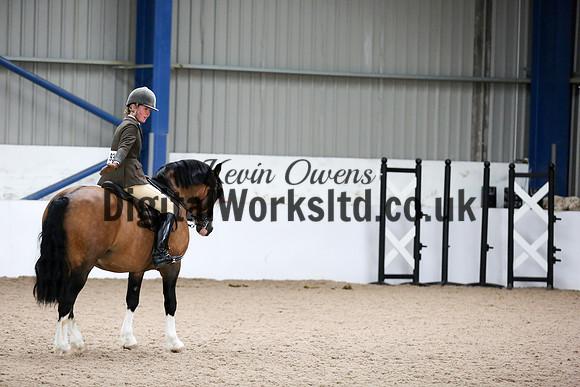 NECWPCA-SUMMER-WELSH-SILVER-MEDAL-SHOW (304 of 315)