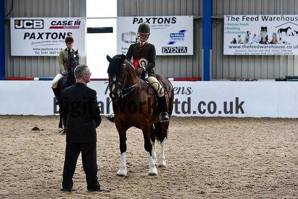 NECWPCA-SUMMER-WELSH-SILVER-MEDAL-SHOW (86 of 92)