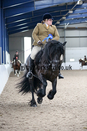 NECWPCA-SUMMER-WELSH-SILVER-MEDAL-SHOW (181 of 325)