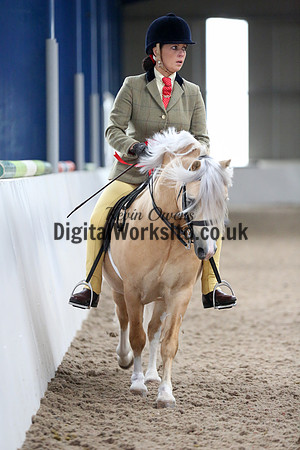 NECWPCA-SUMMER-WELSH-SILVER-MEDAL-SHOW (174 of 325)
