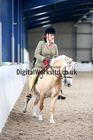 NECWPCA-SUMMER-WELSH-SILVER-MEDAL-SHOW (175 of 325)