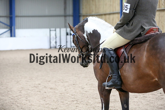 NECWPCA-SUMMER-WELSH-SILVER-MEDAL-SHOW (120 of 120)