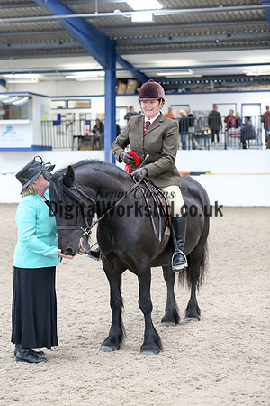 NECWPCA-SUMMER-WELSH-SILVER-MEDAL-SHOW (50 of 419)