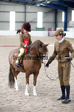 NECWPCA-SUMMER-WELSH-SILVER-MEDAL-SHOW (111 of 325)