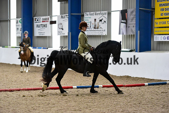 NECWPCA-SUMMER-WELSH-SILVER-MEDAL-SHOW (18 of 325)