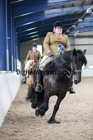 NECWPCA-SUMMER-WELSH-SILVER-MEDAL-SHOW (190 of 325)