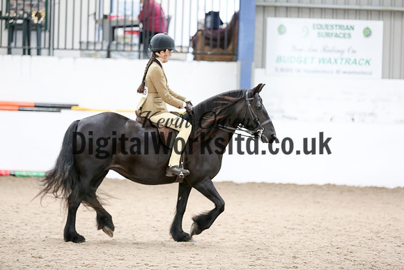 NECWPCA-SUMMER-WELSH-SILVER-MEDAL-SHOW (13 of 120)