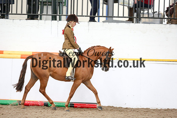 NECWPCA-SUMMER-WELSH-SILVER-MEDAL-SHOW (105 of 315)