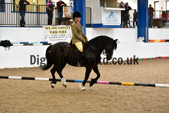 NECWPCA-SUMMER-WELSH-SILVER-MEDAL-SHOW (50 of 315)