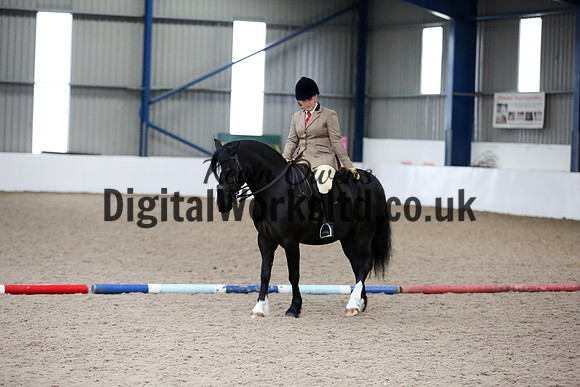 NECWPCA-SUMMER-WELSH-SILVER-MEDAL-SHOW (313 of 315)