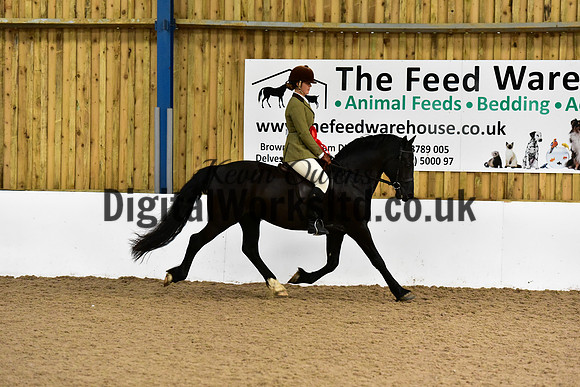 NECWPCA-SUMMER-WELSH-SILVER-MEDAL-SHOW (59 of 92)
