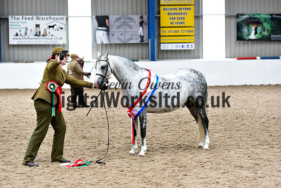 NECWPCA-SUMMER-WELSH-SILVER-MEDAL-SHOW (13 of 159)