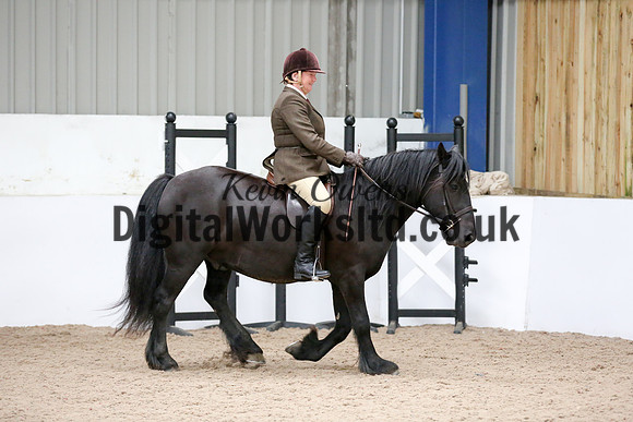 NECWPCA-SUMMER-WELSH-SILVER-MEDAL-SHOW (5 of 334)