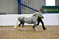 NECWPCA-SUMMER-WELSH-SILVER-MEDAL-SHOW (13 of 412)