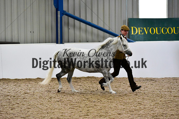 NECWPCA-SUMMER-WELSH-SILVER-MEDAL-SHOW (13 of 412)