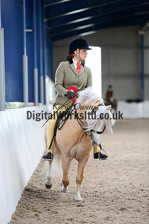 NECWPCA-SUMMER-WELSH-SILVER-MEDAL-SHOW (184 of 325)