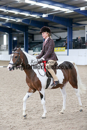 NECWPCA-SUMMER-WELSH-SILVER-MEDAL-SHOW (82 of 419)