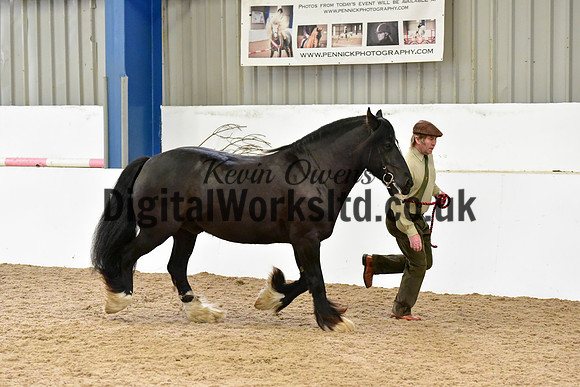 NECWPCA-SUMMER-WELSH-SILVER-MEDAL-SHOW (59 of 61)