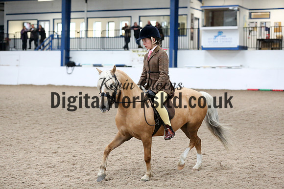 NECWPCA-SUMMER-WELSH-SILVER-MEDAL-SHOW (43 of 325)