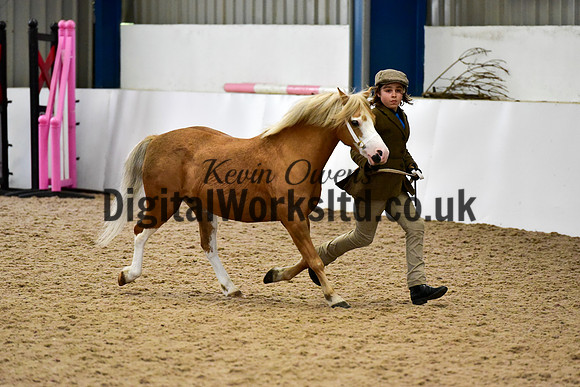 NECWPCA-SUMMER-WELSH-SILVER-MEDAL-SHOW (5 of 61)