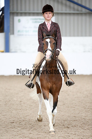NECWPCA-SUMMER-WELSH-SILVER-MEDAL-SHOW (73 of 419)