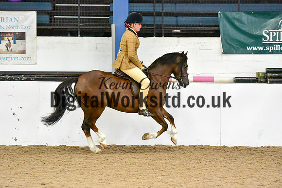 NECWPCA-SUMMER-WELSH-SILVER-MEDAL-SHOW (78 of 419)