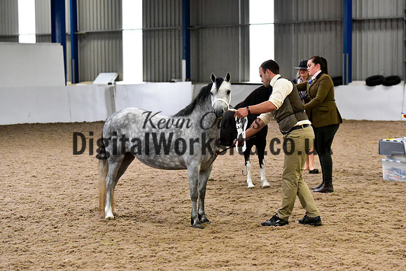 NECWPCA-SUMMER-WELSH-SILVER-MEDAL-SHOW (1 of 427)