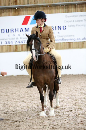 NECWPCA-SUMMER-WELSH-SILVER-MEDAL-SHOW (2 of 325)