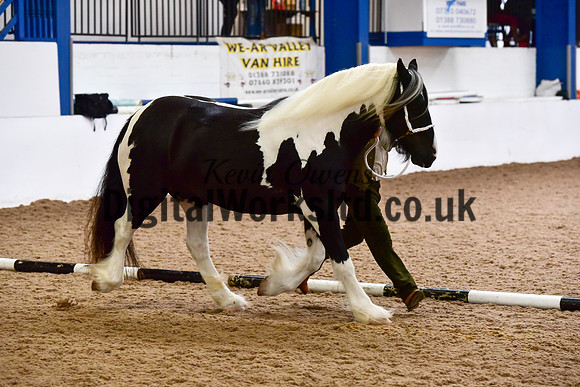 NECWPCA-SUMMER-WELSH-SILVER-MEDAL-SHOW (15 of 150)