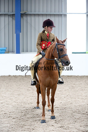 NECWPCA-SUMMER-WELSH-SILVER-MEDAL-SHOW (152 of 315)