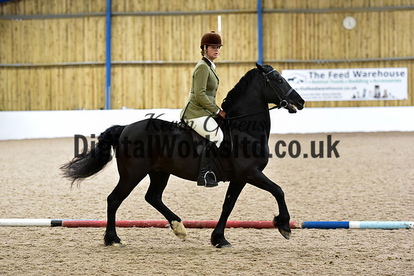 NECWPCA-SUMMER-WELSH-SILVER-MEDAL-SHOW (159 of 315)