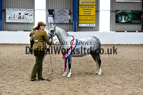 NECWPCA-SUMMER-WELSH-SILVER-MEDAL-SHOW (15 of 159)