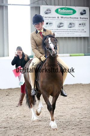 NECWPCA-SUMMER-WELSH-SILVER-MEDAL-SHOW (22 of 325)