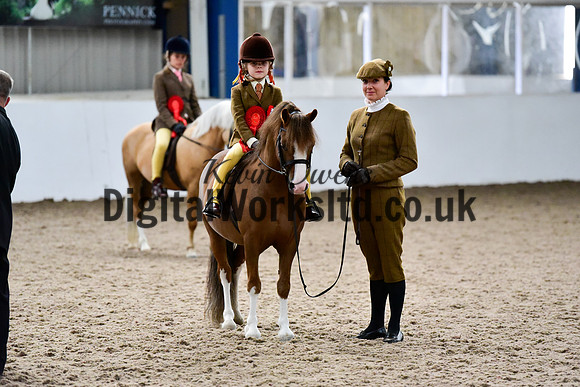 NECWPCA-SUMMER-WELSH-SILVER-MEDAL-SHOW (87 of 92)